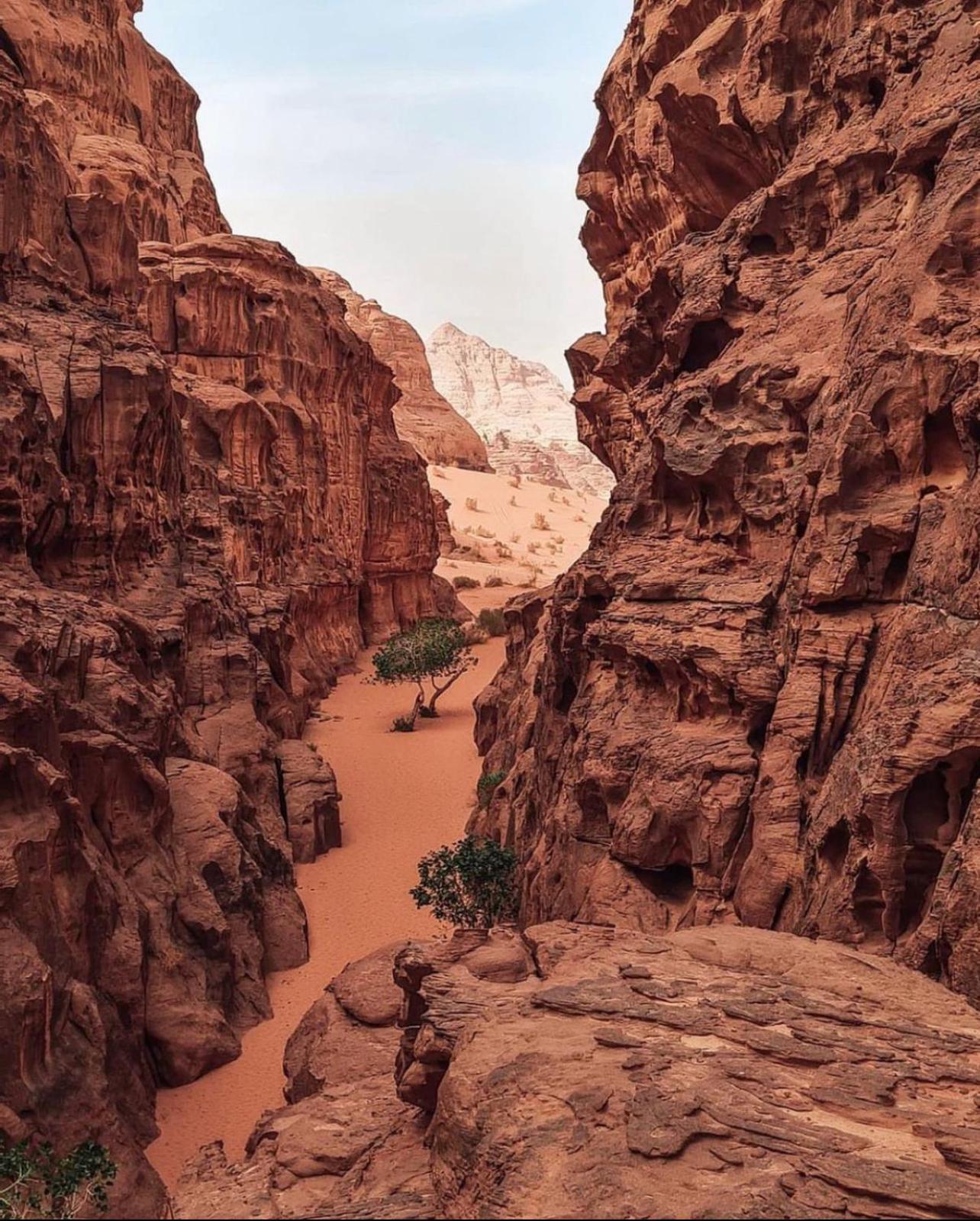 Rum Magic Luxury Camp Wadi Rum Extérieur photo